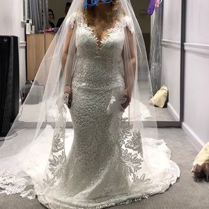 Wedding dress/veil